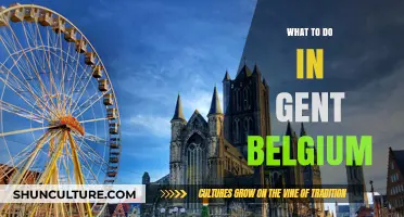 Exploring Gent: Unmissable Attractions and Hidden Gems in Belgium's Charming City