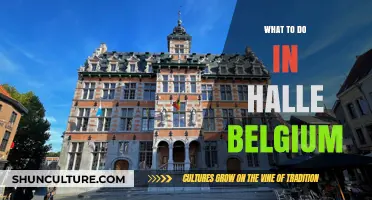 Exploring Halle, Belgium: Top Attractions and Hidden Gems