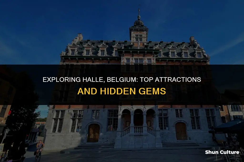 what to do in halle belgium