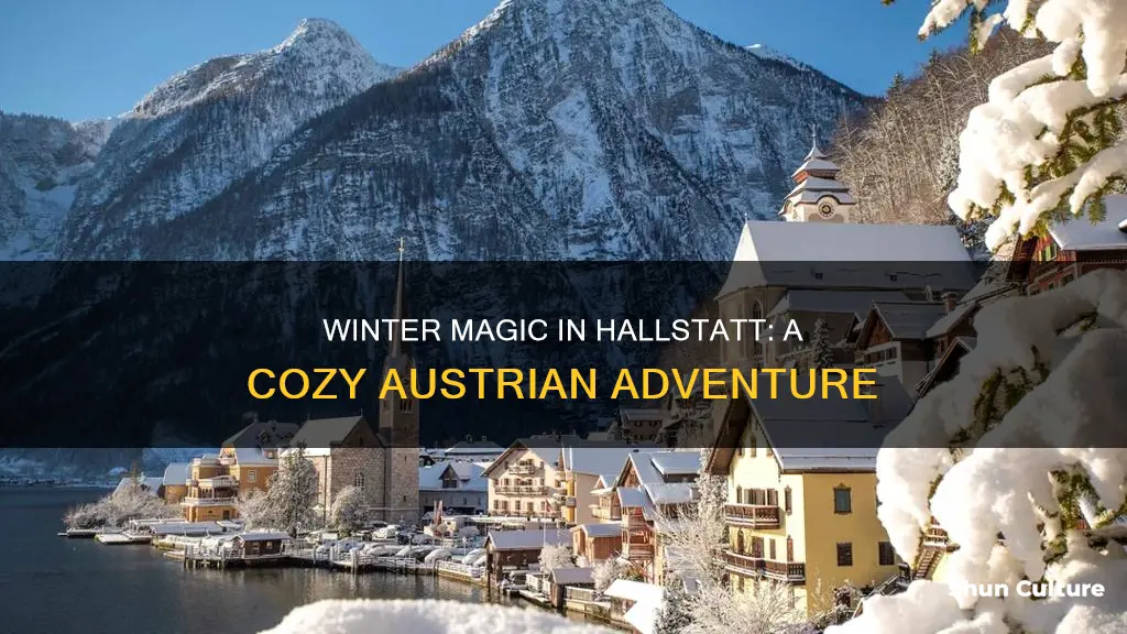 what to do in hallstatt austria in winter