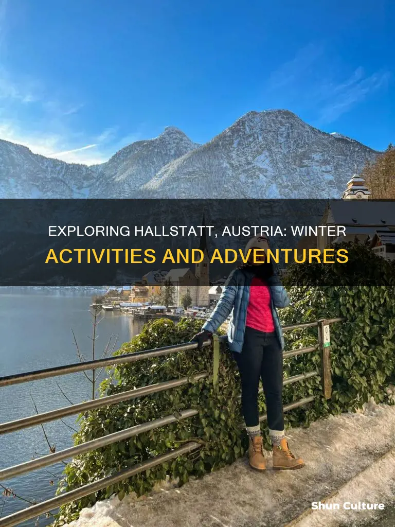what to do in hallstatt austria in winter