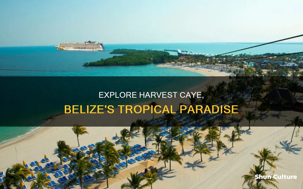 what to do in harvest caye belize cruise port