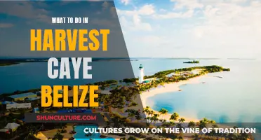 Exploring Harvest Caye, Belize: Activities and Adventures