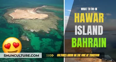 Exploring Bahrain's Hawar Island: Activities and Adventures