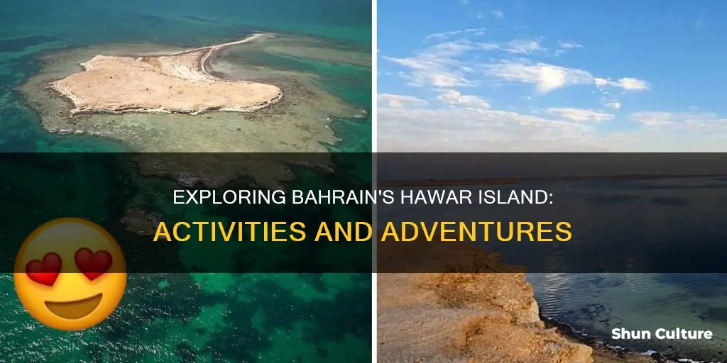 what to do in hawar island bahrain