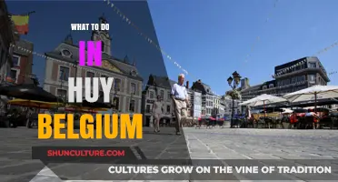 Discover Huy, Belgium: A Weekend Guide to Its Hidden Gems