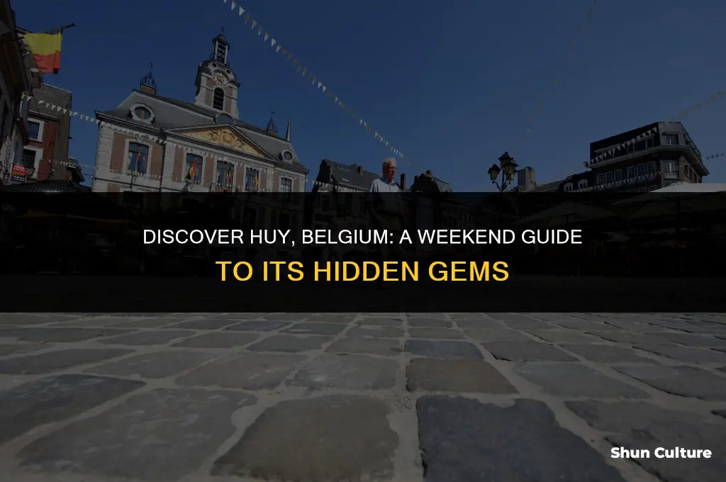 what to do in huy belgium
