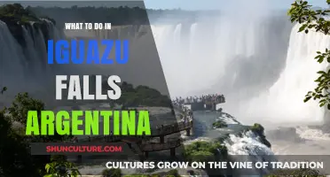 Exploring Iguazu Falls: A Guide to Argentina's Natural Wonder