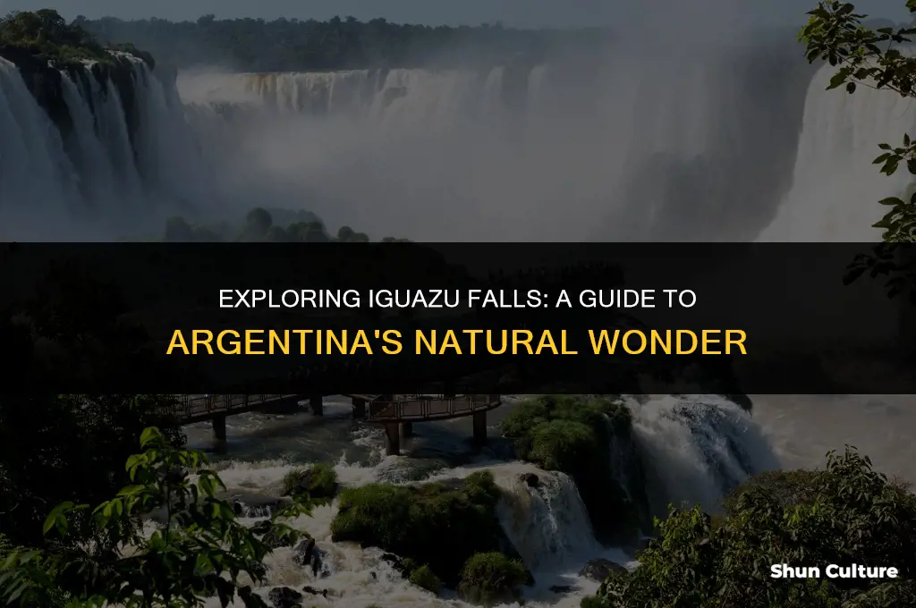 what to do in iguazu falls argentina