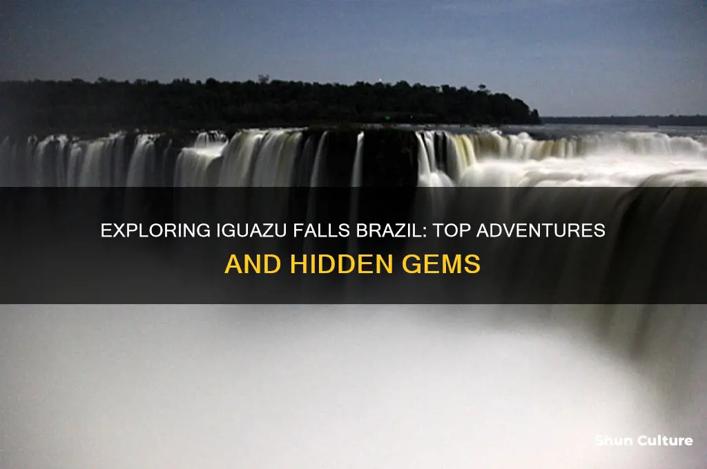 what to do in iguazu falls brazil