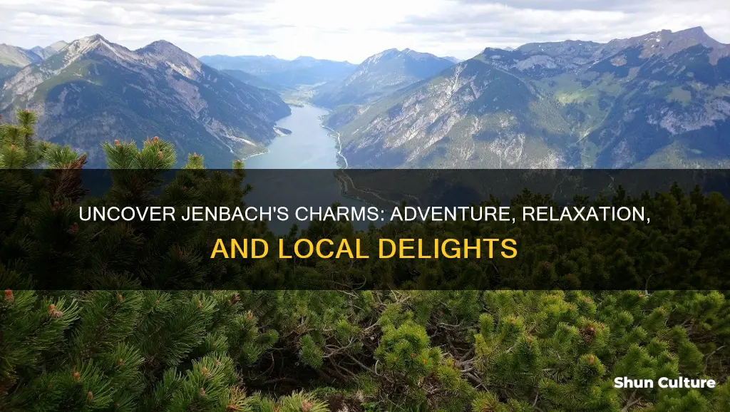 what to do in jenbach austria