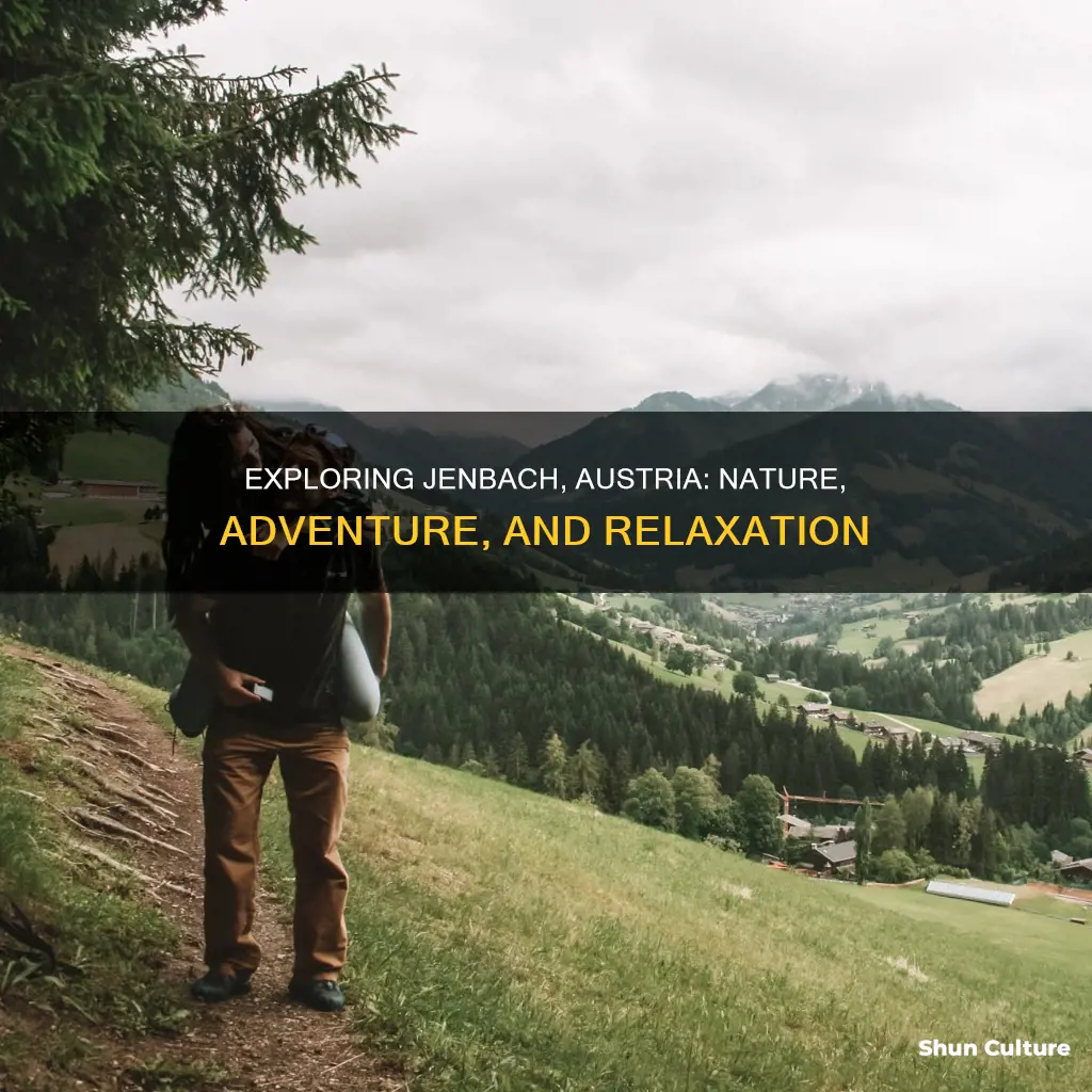 what to do in jenbach austria
