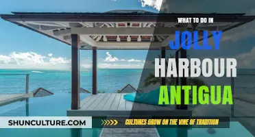 Discover Jolly Harbour: Antigua's Hidden Gem for Adventure and Relaxation