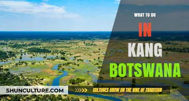 Exploring Kang, Botswana: Top Activities, Attractions, and Hidden Gems