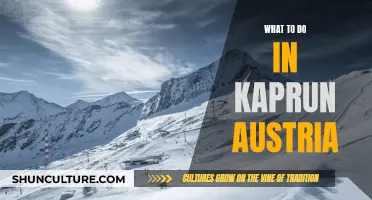 Kaprun's Alpine Adventures: From Skiing to Relaxation