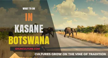 Exploring Kasane: Top Adventures and Attractions in Botswana's Wildlife Hub