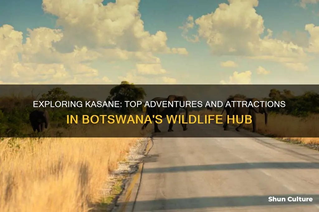 what to do in kasane botswana