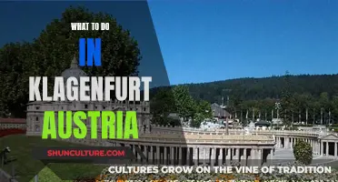 Klagenfurt's Hidden Gems: A Local's Guide to the City's Best