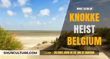 Discovering Knokke-Heist: Top Activities in Belgium's Coastal Gem