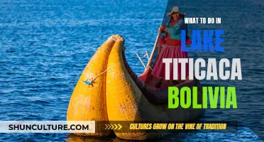 Exploring Bolivia's Lake Titicaca: Activities and Adventures