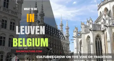 Exploring Leuven: Unveiling Belgium's Hidden Gem