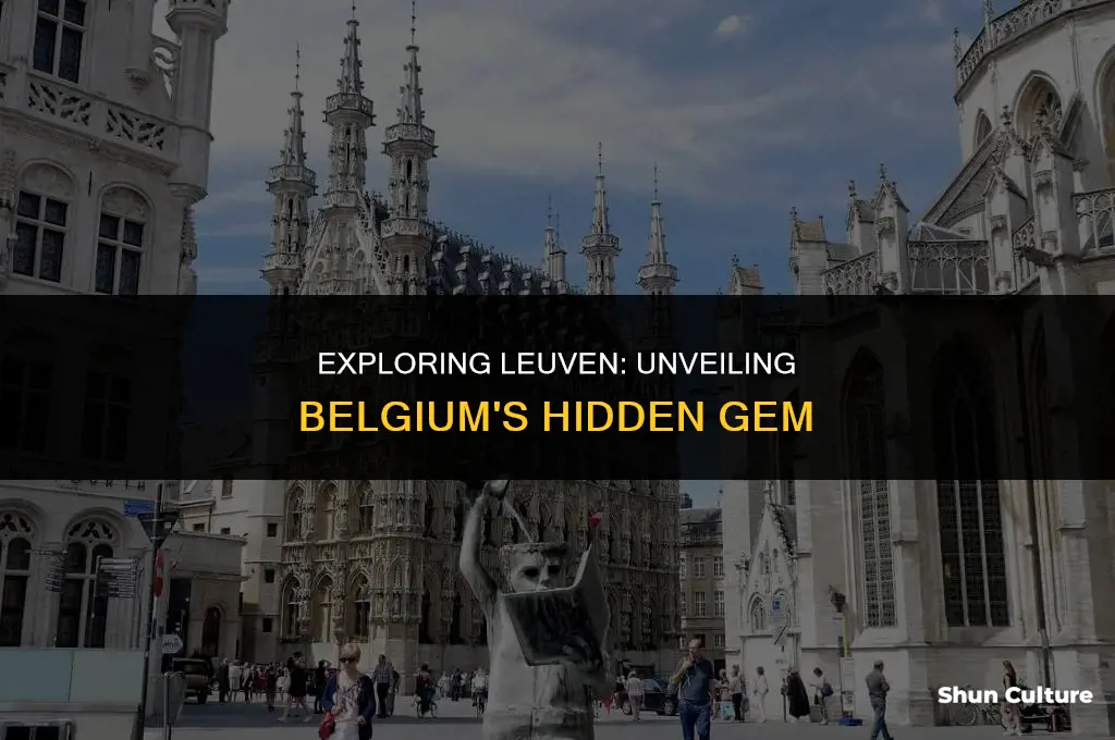 what to do in leuven belgium