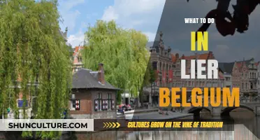 Exploring Lier, Belgium: Top Attractions and Hidden Gems