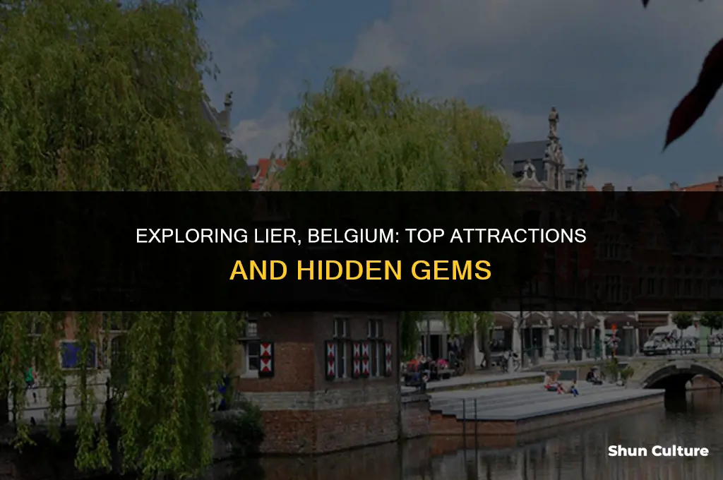 what to do in lier belgium