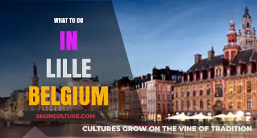 Exploring Lille: Unveiling Belgium's Hidden Gem