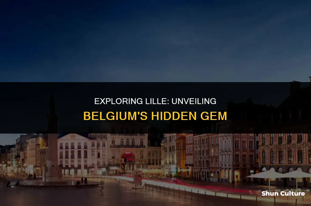 what to do in lille belgium