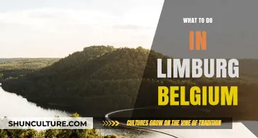 Discovering Limburg: Unveiling Belgium's Hidden Gem