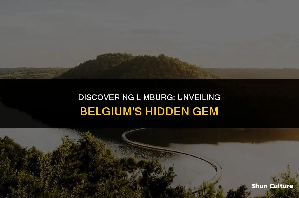 what to do in limburg belgium