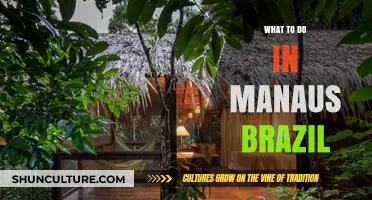 Explore Manaus: Top Adventures and Hidden Gems in Brazil's Amazon Gateway