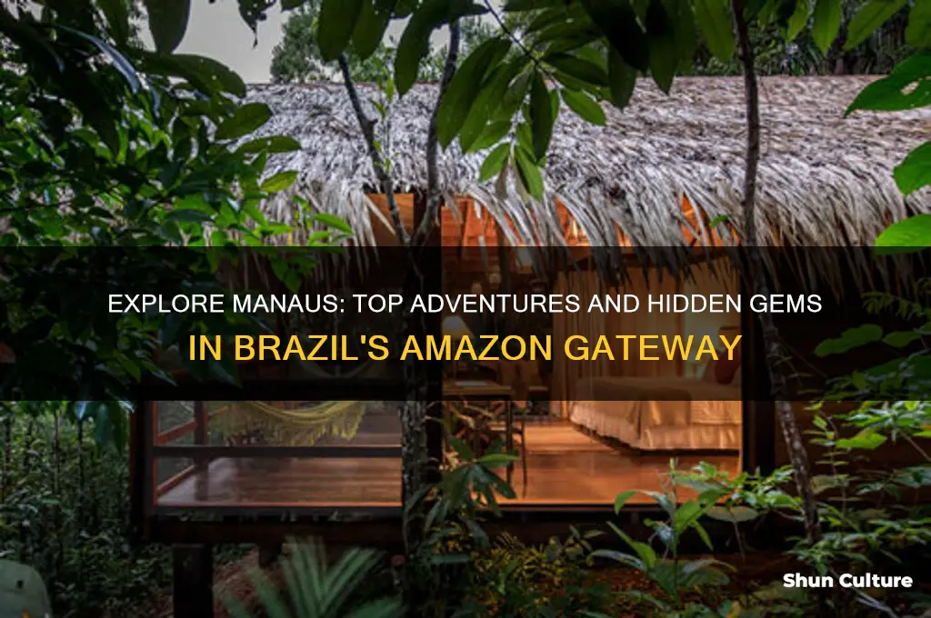 what to do in manaus brazil
