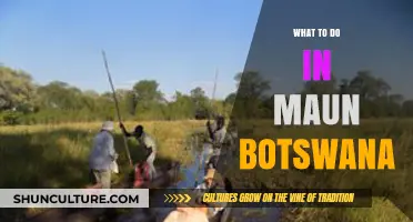 Exploring Maun: Top Activities and Adventures in Botswana's Gateway