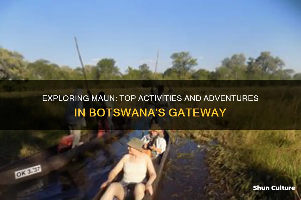 what to do in maun botswana