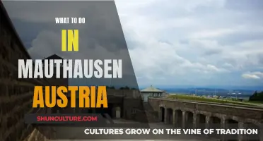 Uncover Mauthausen's Hidden History: A Guide to Austria's Dark Past