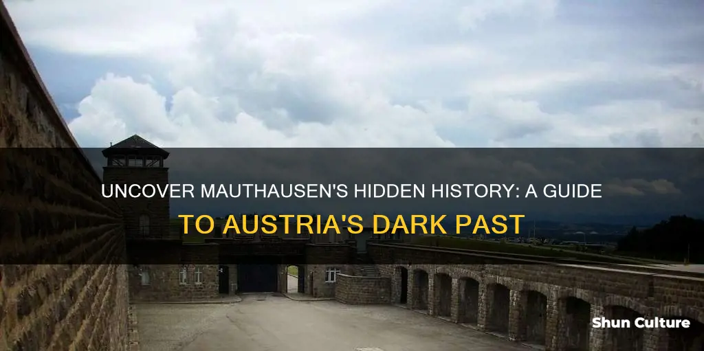 what to do in mauthausen austria