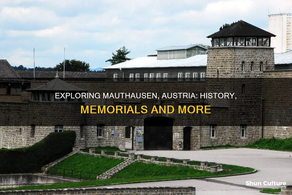 what to do in mauthausen austria