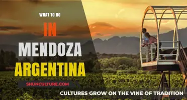 Exploring Mendoza: A Guide to Argentina's Wine Capital and Natural Wonders