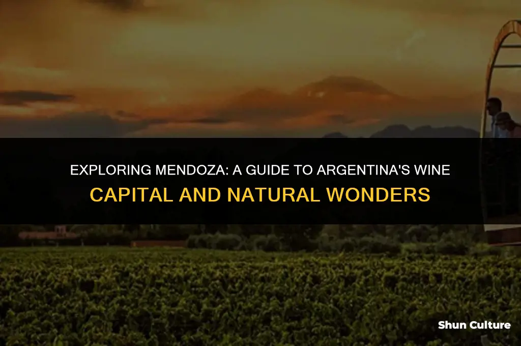 what to do in mendoza argentina