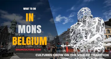 Discovering Mons, Belgium: A Guide to Its Hidden Gems and Must-See Attractions
