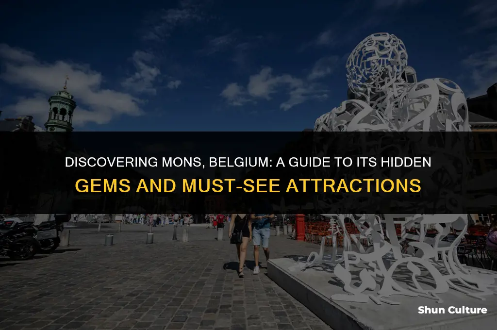 what to do in mons belgium