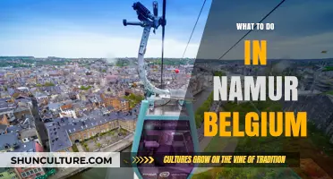 Discovering Namur: A Guide to Belgium's Hidden Gem