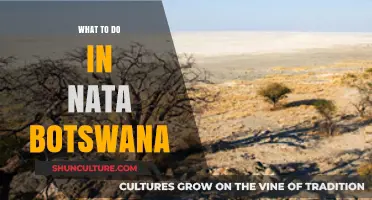 Exploring Nata Botswana: Top Activities and Hidden Gems to Discover