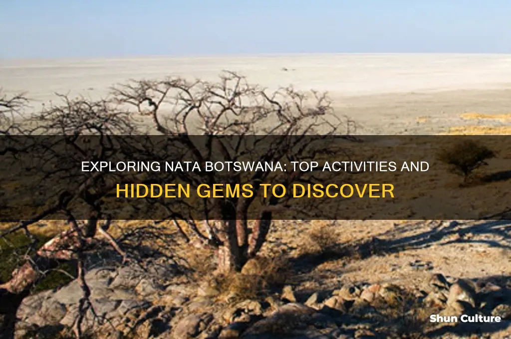 what to do in nata botswana