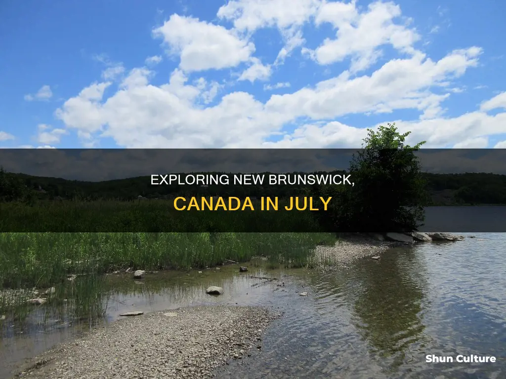 what to do in new brunswick canada in july