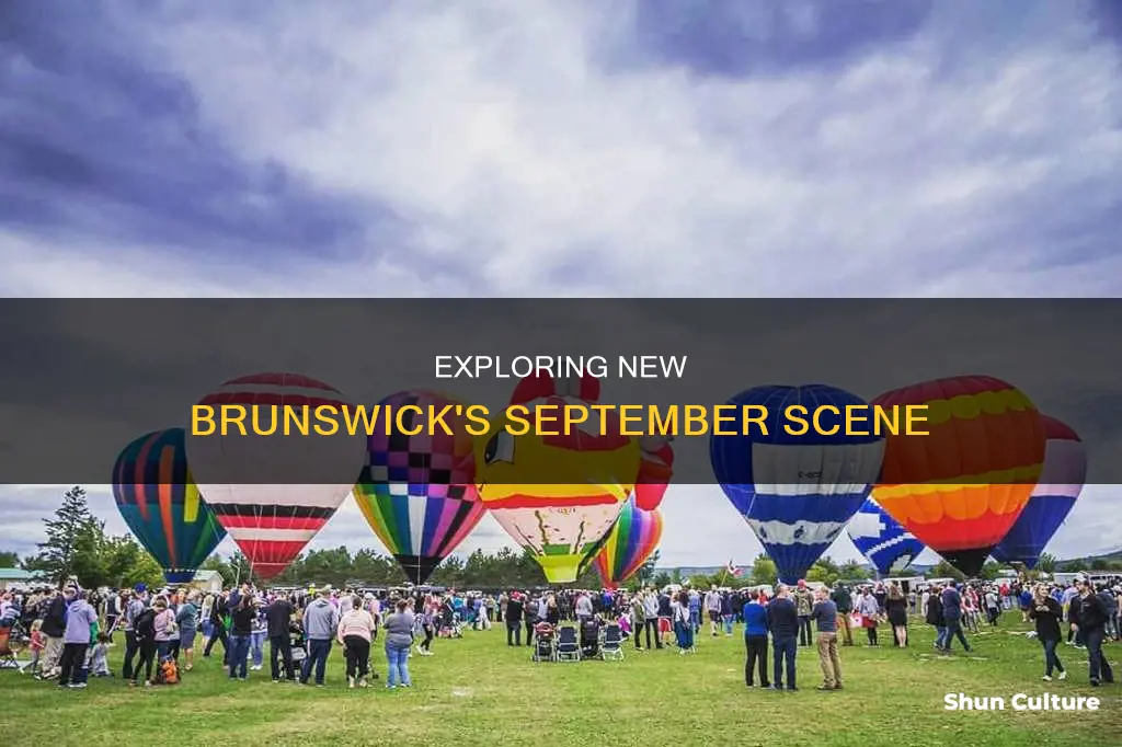 what to do in new brunswick in September