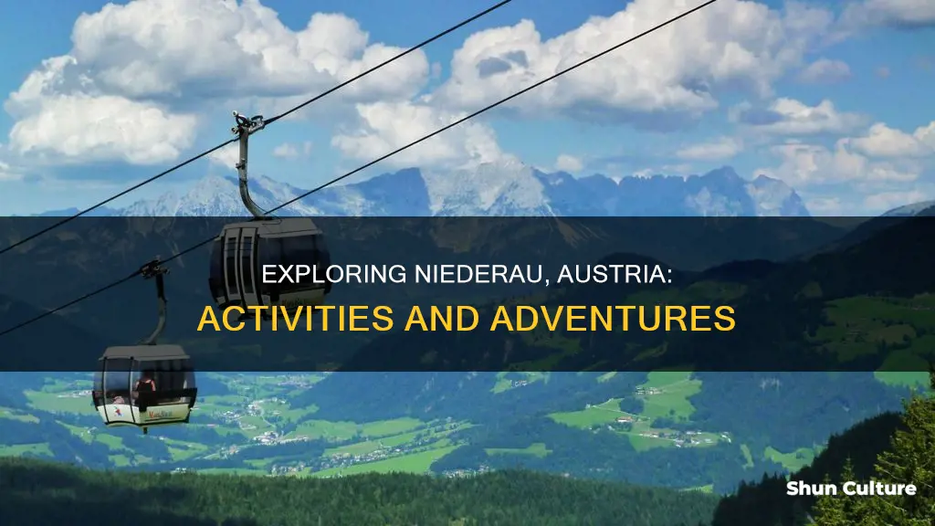what to do in niederau austria
