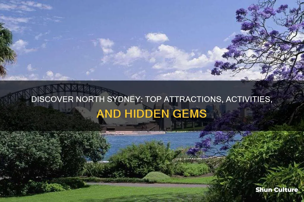 what to do in north sydney australia